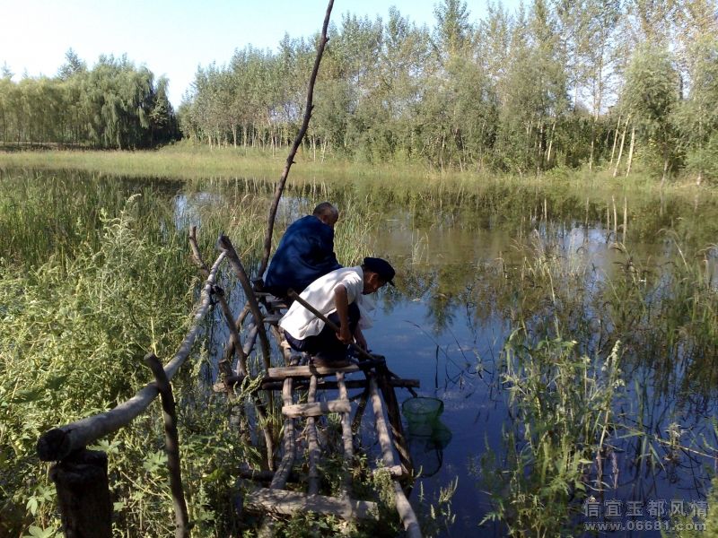 20080901188.jpg