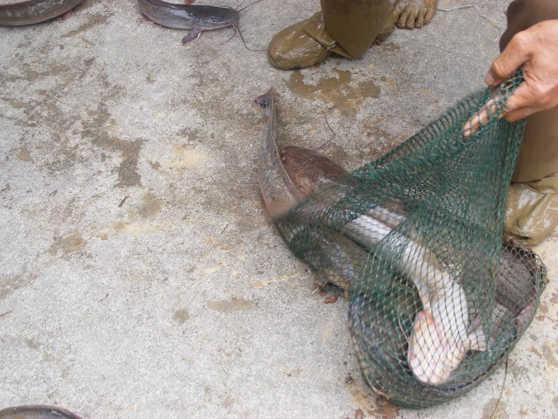 DSCF6975.JPG