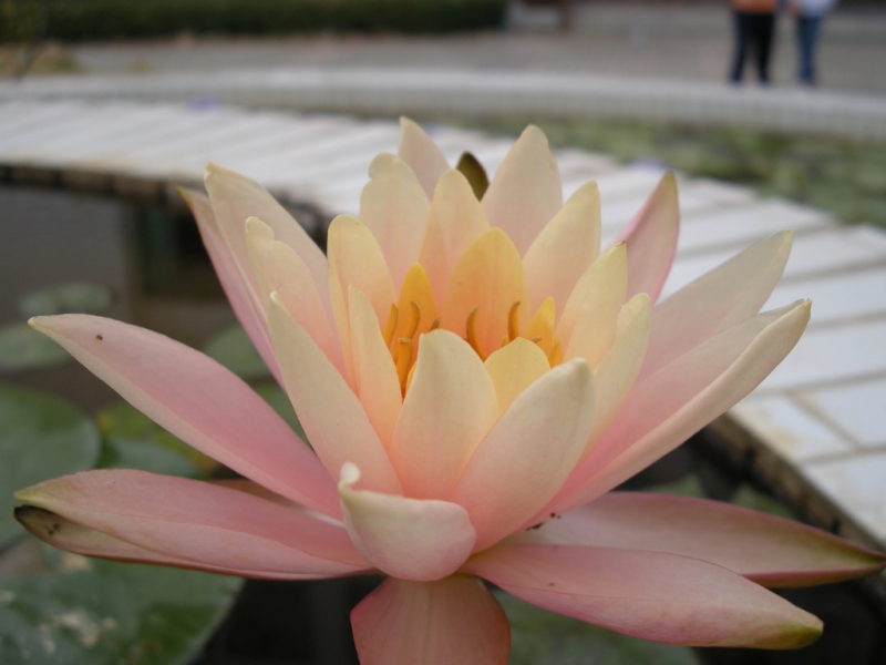 DSCN3693.jpg