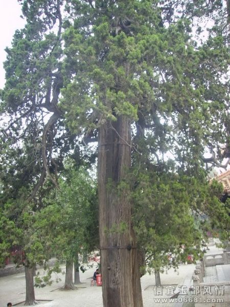 PICT0071.jpg