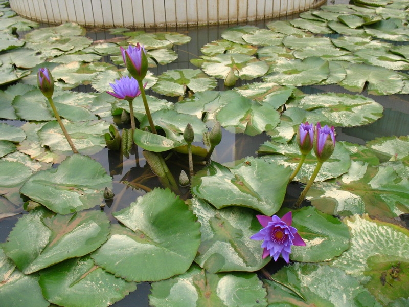 2008-11-23 027.jpg