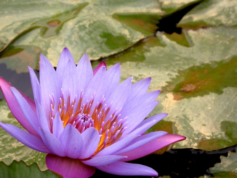 DSCN3710.jpg