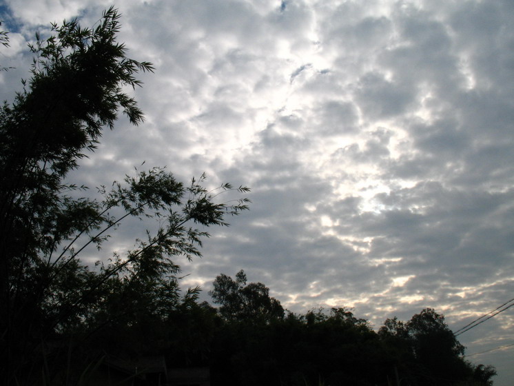 2008-11-26 006.jpg