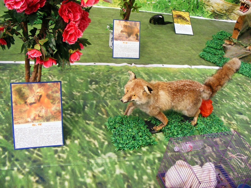 DSCF7492.JPG