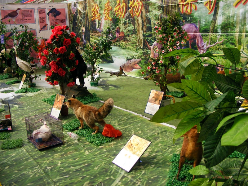 DSCF7498.JPG