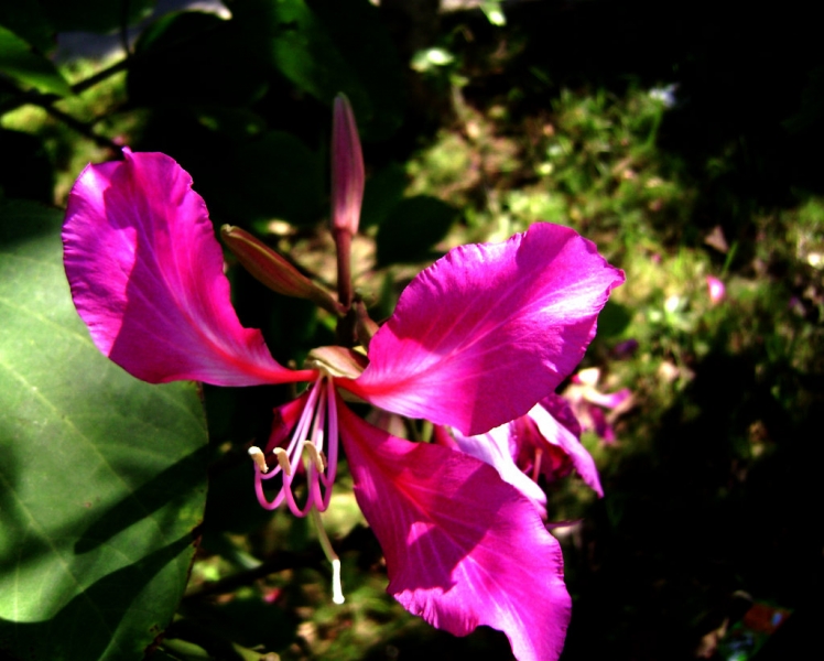 DSC02456.JPG