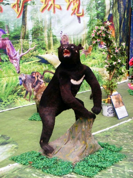 DSCF7486.JPG