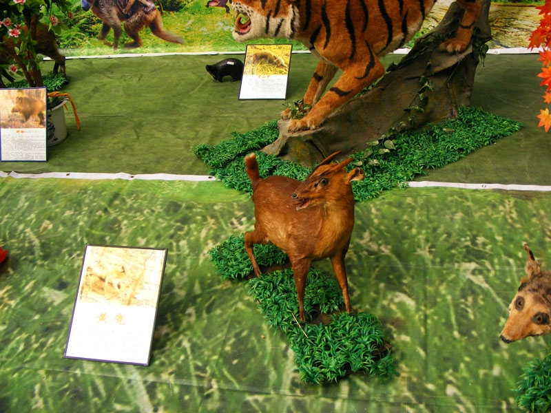 DSCF7495.JPG