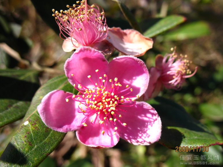 2008-11-30 030.jpg