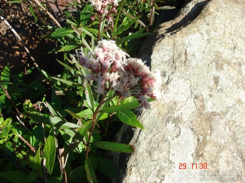 DSC09451.JPG