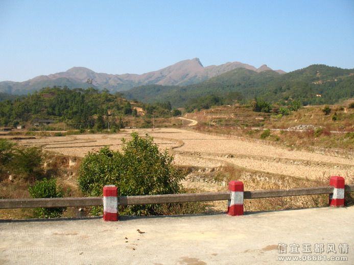 2008-12-6 060.jpg
