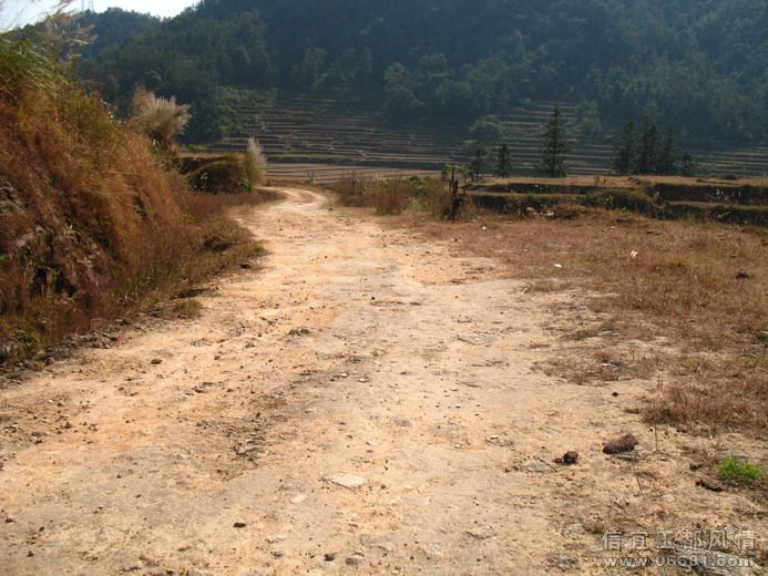 2008-12-6 085.jpg