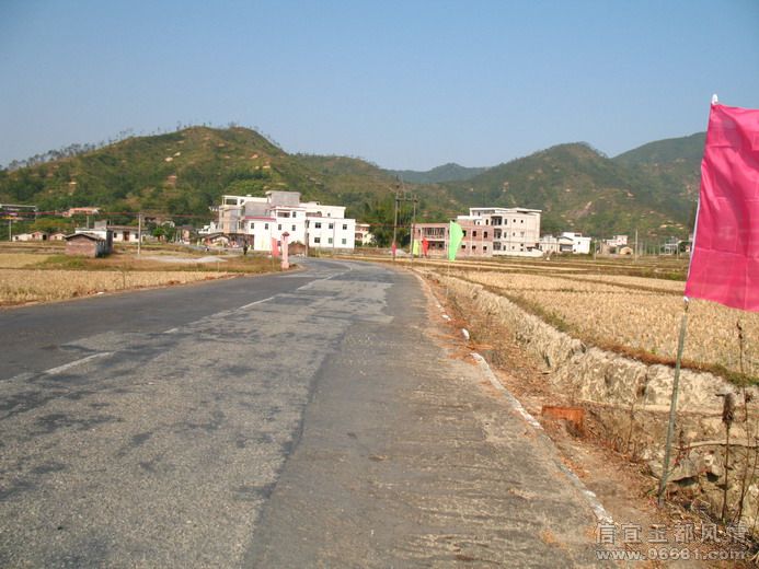 2008-12-6 036.jpg