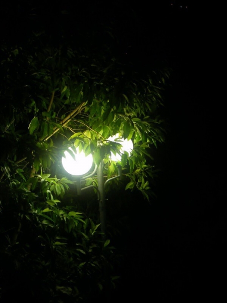 DSCF7717.jpg