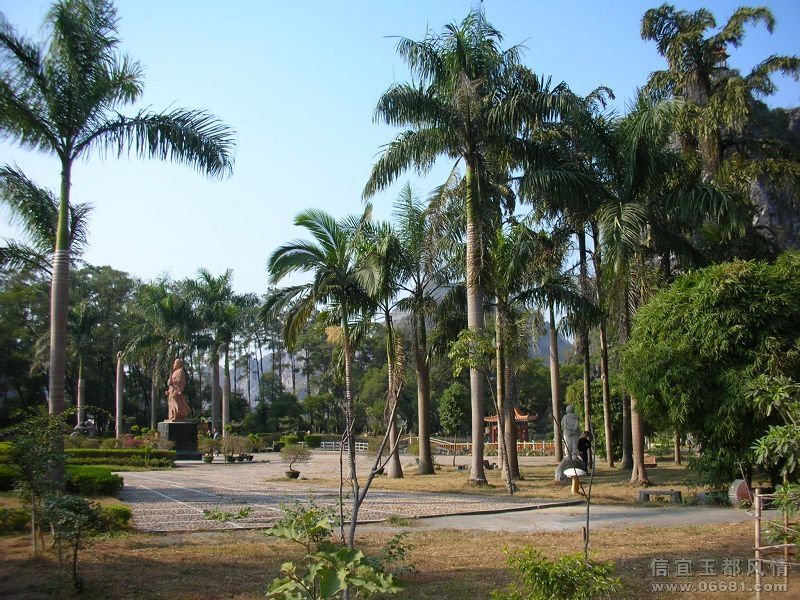 13.jpg