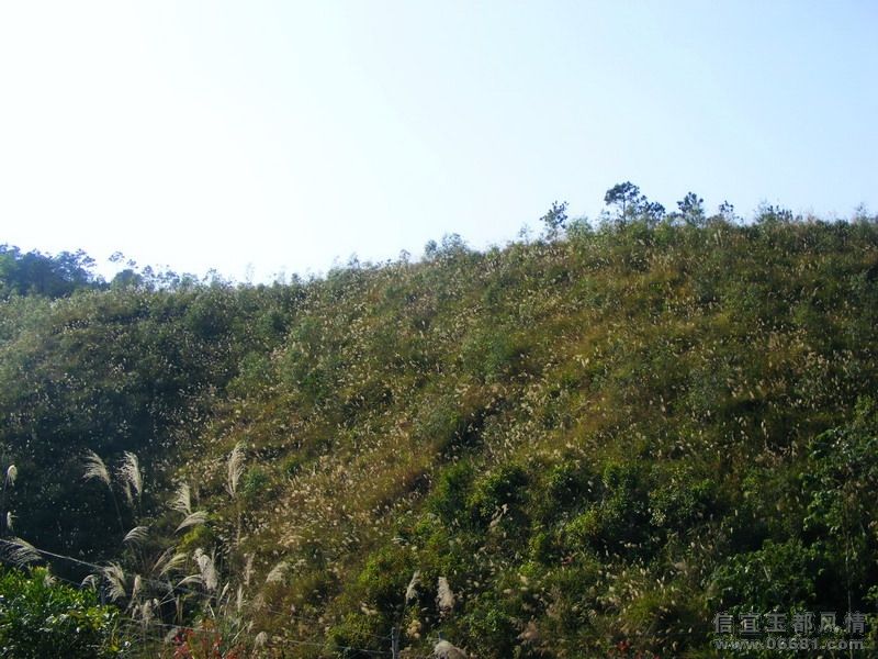 DSCF7853.JPG