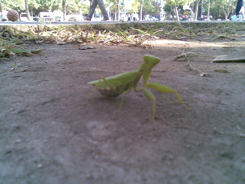20081211(022).jpg