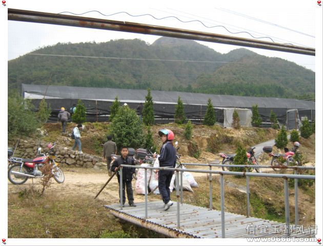 2008-12-13-374.jpg