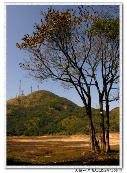 a6.jpg