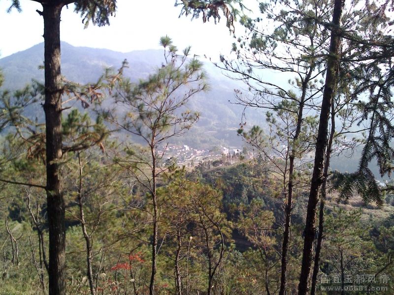 IMG0259A.jpg