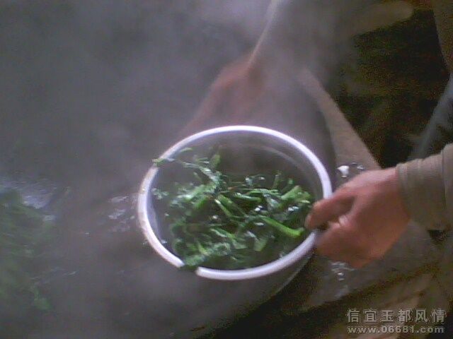 IMG0254A.jpg