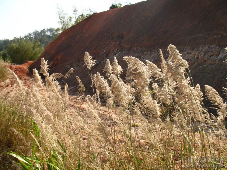 2009-1-1 013.jpg