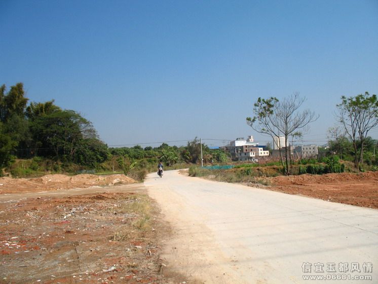 2009-1-1 002.jpg