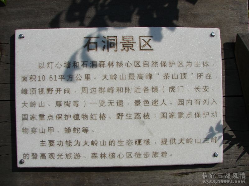 DSC05033.JPG