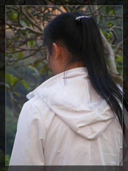 DSCF9291.JPG