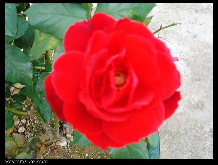 nEO_IMG_DSC01734.jpg