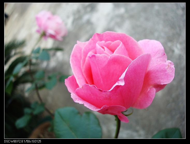 nEO_IMG_DSC01715.jpg