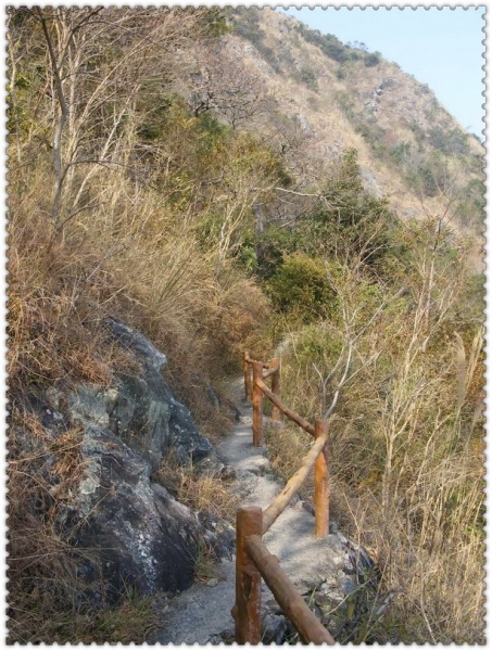 DSCF9613.jpg
