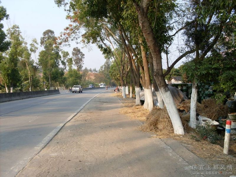 SDC12652.JPG