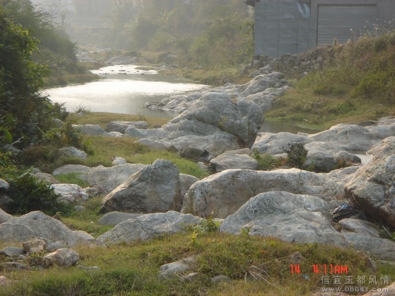 DSC010.JPG