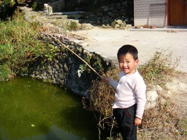 DSC02110.jpg