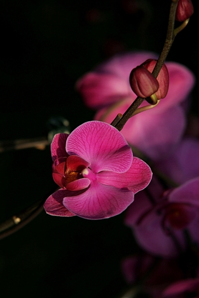 ѹ��Ƭ (10).JPG