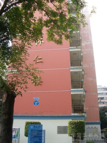 SDC13439.JPG