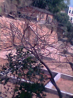IMG0470A.jpg