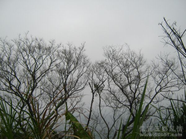 2009-02-21-241.jpg