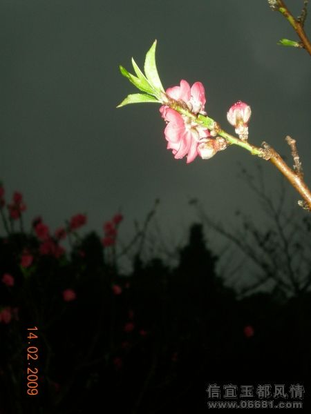 DSCN2599.JPG