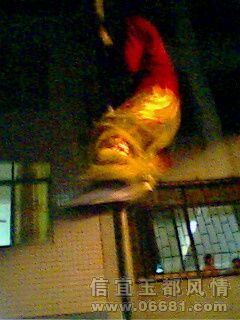 IMG0116A.jpg