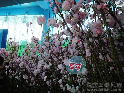 nEO_IMG_DSC05392.jpg