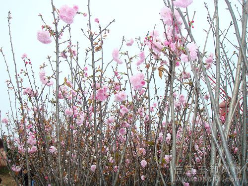 nEO_IMG_DSC05365.jpg