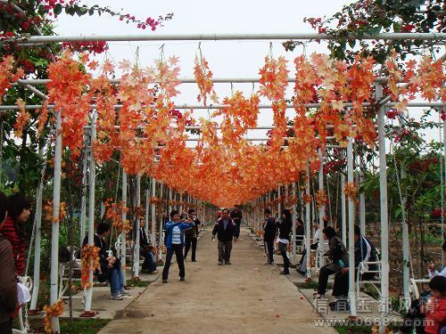 nEO_IMG_DSC05426.jpg