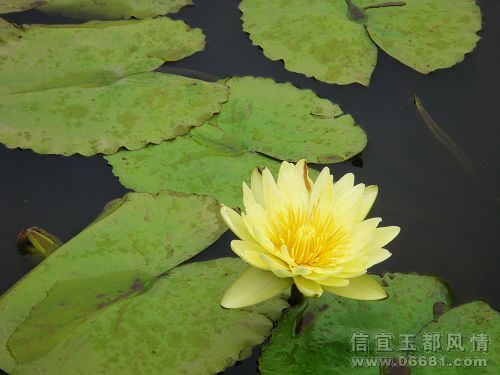 nEO_IMG_DSC05346.jpg