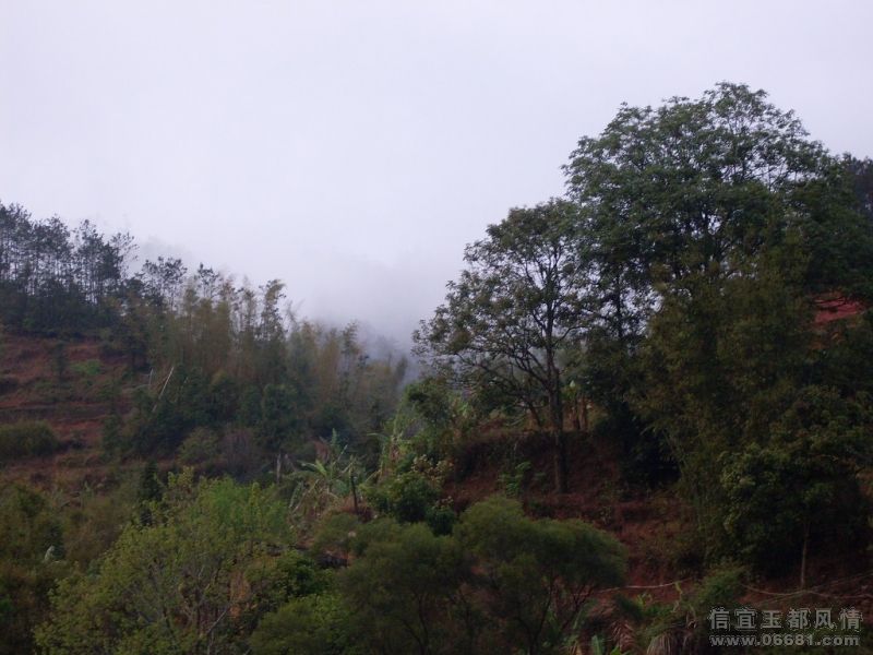 SDC10120 (8).JPG