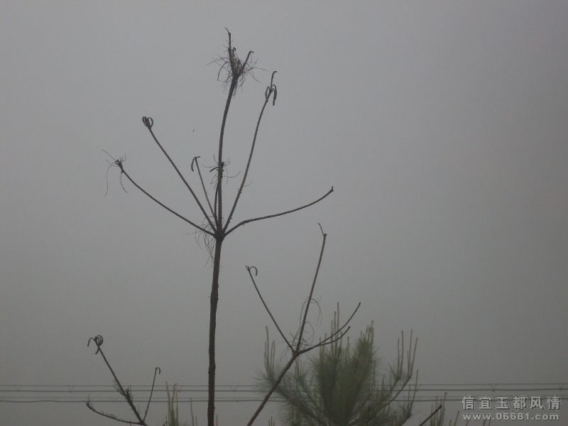 SDC14036.JPG