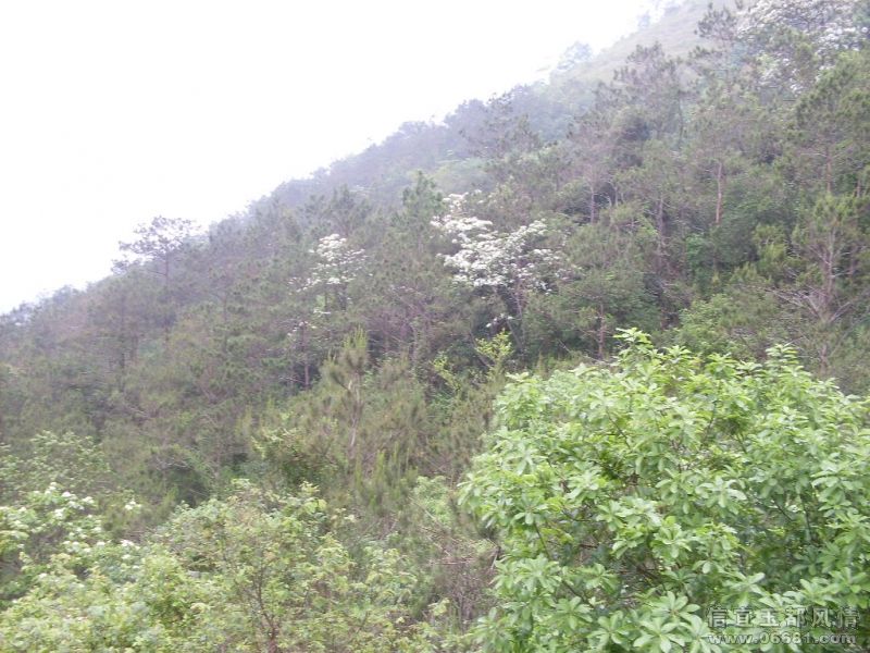 SDC15588.JPG