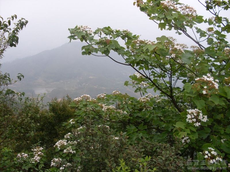SDC15740.JPG