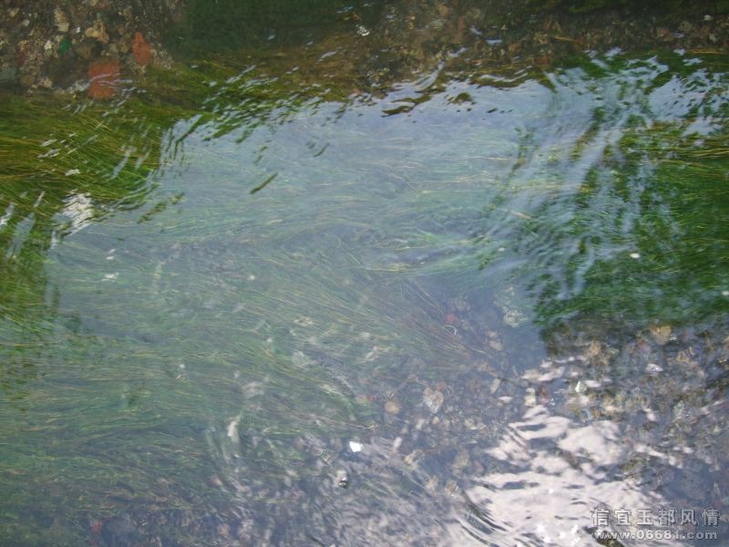 DSCF3874.JPG